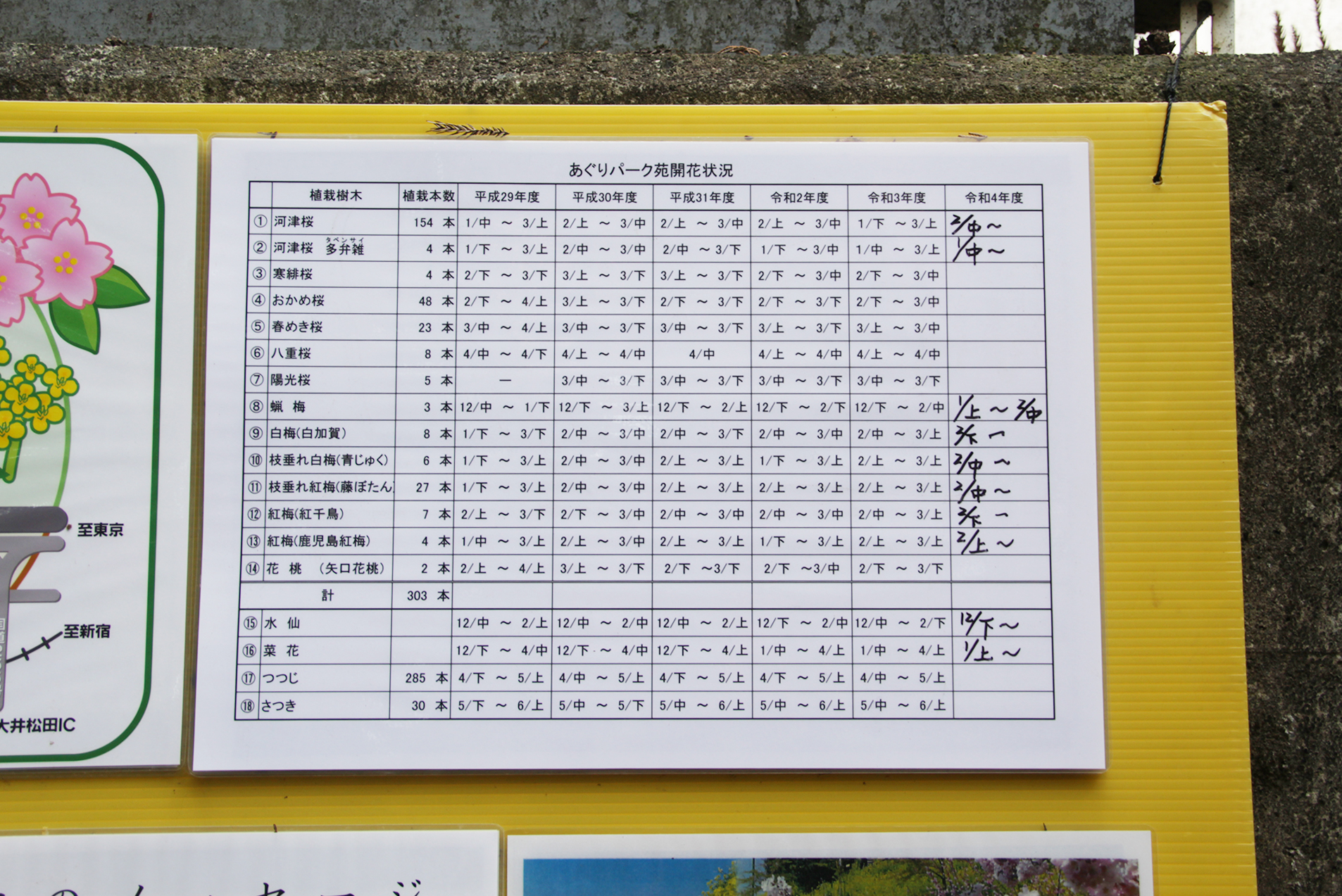 2022年のあぐりパーク嵯峨山苑の開花状況 | 内藤園－松田山みかんの里